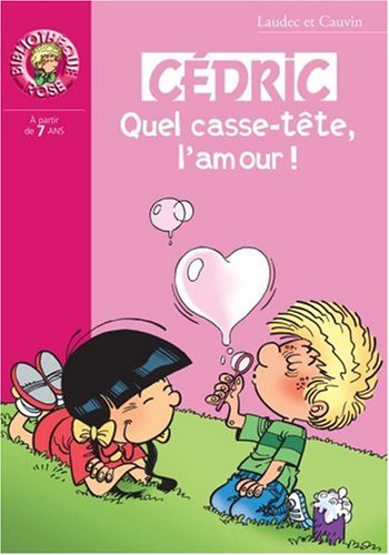 couverture de : Quel casse t&ecirc;te l'amour