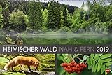 Wald nah und fern Edition - Kalender 2019 by 