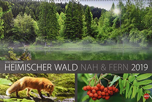 Wald nah und fern Edition - Kalender 2019