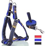 arnes o collar para golden retriever El tamaño M, es apto para un perro de raza pequeña. Ideal para perros de 3,5 a 9 kg, como Yorkshire Terrier o Chihuahua y el tamaño XL, es apto para un perro de tamaño mediano. Adecuado para perros de tamaño mediano. Ideal para perros de 10,5 a 25 kg, como Collie, Corgi y razas de tamaño similar.