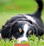 WOW 2013: Hundefreuden auf 12 Seiten, Postkartenkalender by 