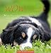WOW 2013: Hundefreuden auf 12 Seiten, Postkartenkalender by 