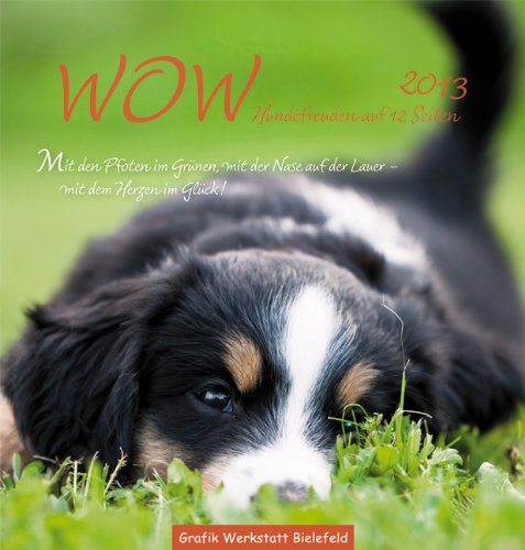 WOW 2013: Hundefreuden auf 12 Seiten, Postkartenkalender