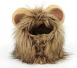 ✔ ENTDECKE DEN LÖWEN | Steckt ein kleiner Löwe in deinem Hund oder deiner Katze? Finde es raus mit dieser niedlichen Perücke mit Ohren.