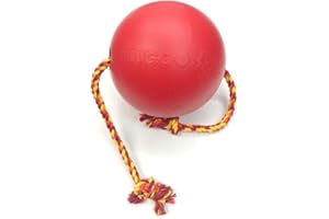 GimDog Tuggo Ball Jeu pour chiens en plastique lourd et corde de coton, rempli d'eau (L - 25,4 cm)