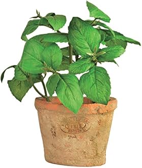 Esschert's Design AH007 Small Artificial Aged Terracotta Pot - Basil