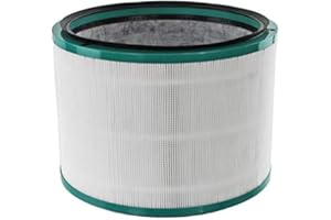 PAXANPAX Dyson - Filtre Compatible pour purificateur d'air - DP/HP Evo - 96810104 65-DY-28