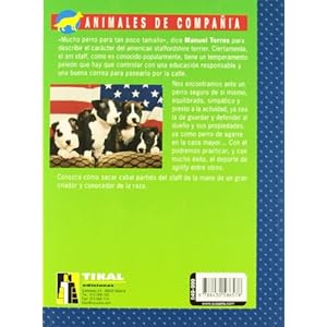 American staffordshire terrier.