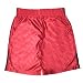 Toddler NIKE Dri-Fit Mesh Sport Shorts 4T Red & Black