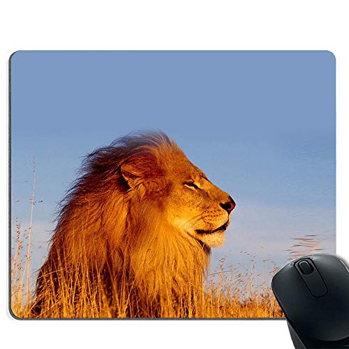 Preisvergleich Produktbild Lion hochwertiges dickes Gummi-Mauspad weich und angenehmes Gefühl komplett