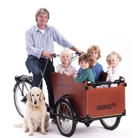 Preisvergleich Produktbild Babboe Big E-Bike