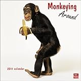 Monkeying Around 2011 by 