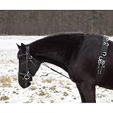chambonea  German Riding Chambon schwarz Cob/Full