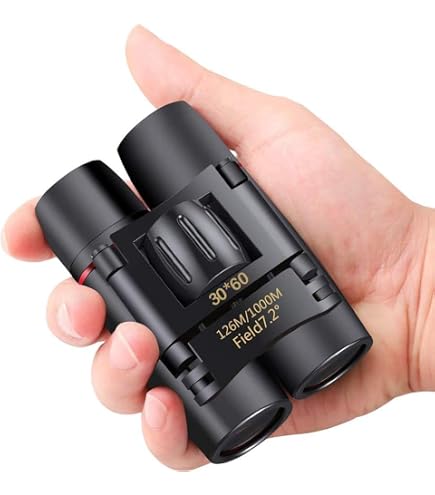 Jumelles Minox BF 8x25 BR - Grossissement 8x, Diamètre 25mm, Neuf Sous Garantie 1 An