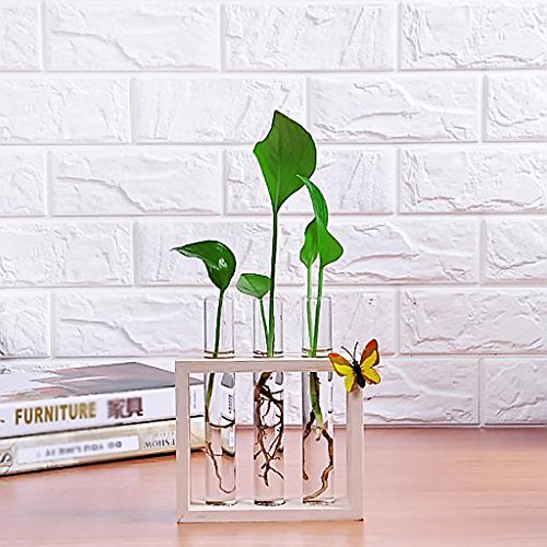 Gazechimp Kristall Glas Vase Halterung Blumen Vase mit Reagenzglasständer Holz Tisch Haus Dekoration - 8
