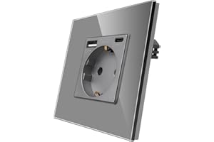 CNBINGO Szklane gniazdko z portami USB (typ C i typ A, szybkie ładowanie 20 W), pojedyncze gniazdko podtynkowe w kolorze szarym, styk ochronny, gniazdko ścienne ze szklaną ramą