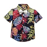 kaufen wickelbody größe 50 body gr 86 baby body größe 50 baby body 98 bodys gr 80 baby body 86 bodys jungen 98 langarmbody 56 baby body ärmellos mädchen body bodys gr 86 langarmbody mädchen kurzarmbodys 98 body 68 body größe 98 104 babybodys mit sprüchen baby body lustig langarmbodys 98 baby body bio baumwolle baby body gr 50 baby body sprüche strampler für babys body 62 body baby junge body gr 74 hemdbody baby body gr 66 baby