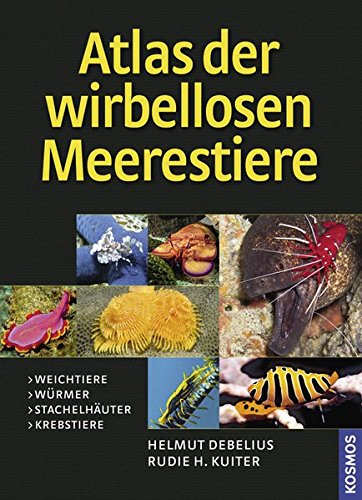 Preisvergleich Produktbild Atlas der Meerestiere - Wirbellose