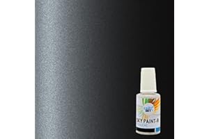 CARSKY stylo retouche peinture carrosserie compatible avec Renault Gris Eclipse B66 (flacon pinceau 20ml) + vernis brillant (flacon pinceau 20ml)