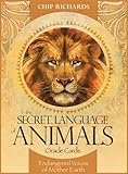 Secret Language of Animals Oracle Cards by 