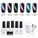 Nail Polish Set Cat Eye Gel Nail Polish 3D Magnetic Nail Art 6 PECS Free Gift (Gel Nail Polish Remover Magnet Stick) #01