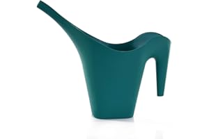 Mintra Home Arrosoir Plastique 2L, Arrosoir Plante Intérieur, Arrosoir Extérieur Jardin, Arrosoir Bonsai, Durable, Patio, Balcon, Pelouse, sans BPA, 29.5X 34.5 x12 cm, (Vert Forêt)