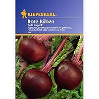 Kiepenkerl Rote Beete Rote Kugel 2