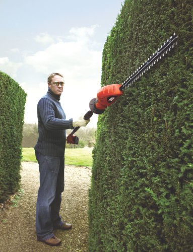 Black + Decker 18 V Lithium-Ionen Akku-Stabheckenschere OHNE Akku und Ladegerät, bis zu 3.5m höhenverstellbar, GTC1843LB - 2