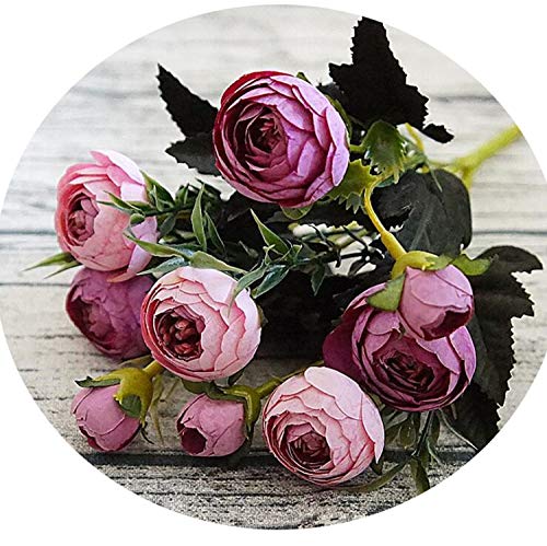 Images Eussl Images Amazoncomimagesi51yrub6cn