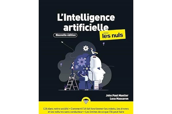 L'intelligence artificielle pour les Nuls, Nouvelle édition: Découvrir les bases de l'intelligence artificielle, Appréhender les enjeux de cette révolution technologique, connaître les limites de l'IA