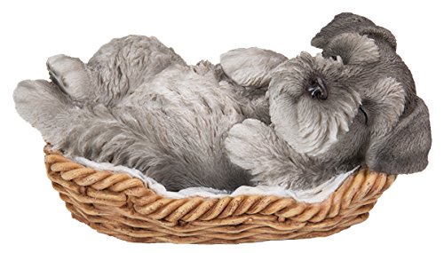 Vivid Arts Pet Pal Schnauzer Welpe in Korb