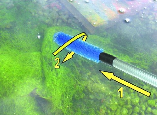 Algenhexe / Fadenalgen-Bürste für Gartenteich (175cm) - 3