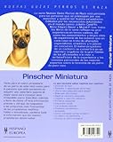 Image de Pinscher Miniatura (Nuevas guías perros de raza)