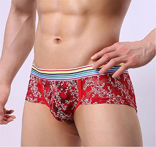 SJMMNY Men'S Panties Sexy Perspective Lace Underwear Breathes,Xl,Gules
