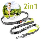 joggingleine fressnapf GUT SICHTBAR IM DUNKELN: Mit reflektierenden Details gearbeitet, die für Sicherheit sorgen, wenn ihr im Dunkeln oder in der Dämmerung aktiv seid