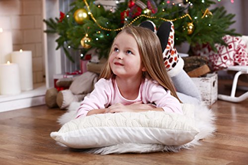 Toddler Pillow/ Travel Pillow - No Pillowcase Needed - High Thread Count (240)