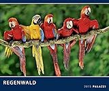 REGENWALD 2015: Der grüne Planet inkl. Spende - Rainforest - Tierkalender 60 x 50 cm by