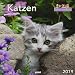 Monatskalender Keith Kimberlin Katzen 2019 by