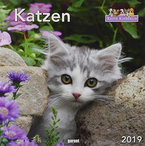 Monatskalender Keith Kimberlin Katzen 2019
