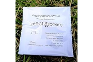 INSECTÖSPHERE Capsule de phéromone Contre la mineuse des Agrumes