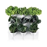 Orto verticale da balcone