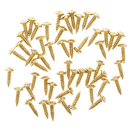 Teabelle 50Pz Viti per Chitarra Basso Battipenna Piastra Posteriore Piroli Jack Oro