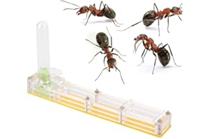 Ant Nest, Ant Farm Castle, Natural Insect Ecology Box, Formicarium, Display Case with Water Tower, Moisturising (Yellow)