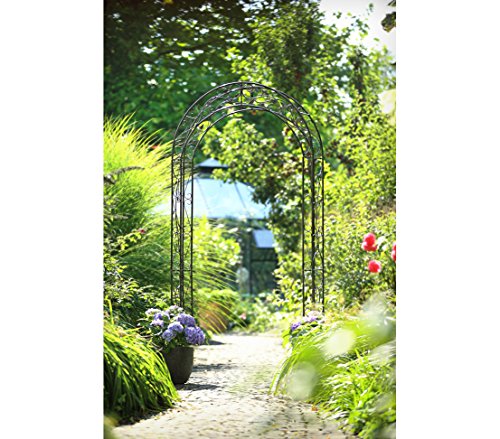 Dehner Rosenbogen Cornwall, ca. 236 x 118 x 31 cm, Metall, grau/schwarz - 2