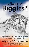 Image de Where is Biggles? (English Edition)