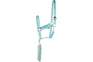 Harry's Horse 31000926–09shetland Licol Set Initial – Shetland Turquoise