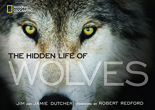 Télécharger The Hidden Life of Wolves PDF