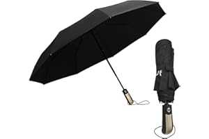 Chic Defend Regenschirm Sturmfest für Regen Automatik Taschenschirm mit 9 Rippen Faltbar Kompakte Reise Umbrella mit Schirmtasche für Herren und Damen, Leicht & Kompakt