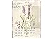 Produktbild INTERLUXE WANDKALENDER Blechschild Kalender EIN GARTEN IST EIN FREUND Gartenhaus Shabby Vintage Geschenk Dekoration Haus Wohnung