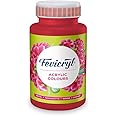Fevicryl Acrylic Colour Magenta 500ml | Art & Craft, DIY, Rich Pigment, Non-Craking Paint for Canvas, Wood, Leather, Earthenware, Metal | Ideal for school projects, Hobbyists, Artists